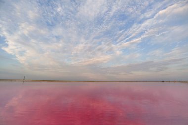 Pembe bir gölün tuzlu ve tuzlu suyu, mikro alg Dunaliella salina tarafından renklendirilmiştir, antioksidan özellikleriyle ünlüdür, beta-karoten ile suyu zenginleştirir, ilaç, cilt bakımı ve kaplıcalarda kullanılır.