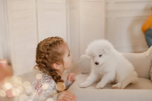 Niña Con Lindo Cachorro Estudio — Foto de Stock