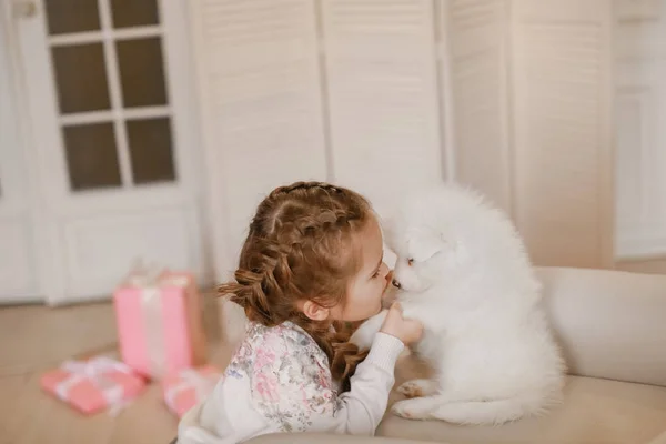 Μικρό Κορίτσι Χαριτωμένο Κουτάβι Στο Studio — Φωτογραφία Αρχείου