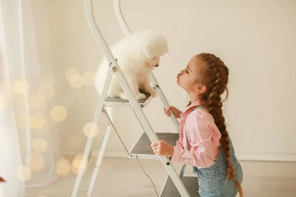 Chica Con Lindo Cachorro Escalera Posando Estudio — Foto de Stock