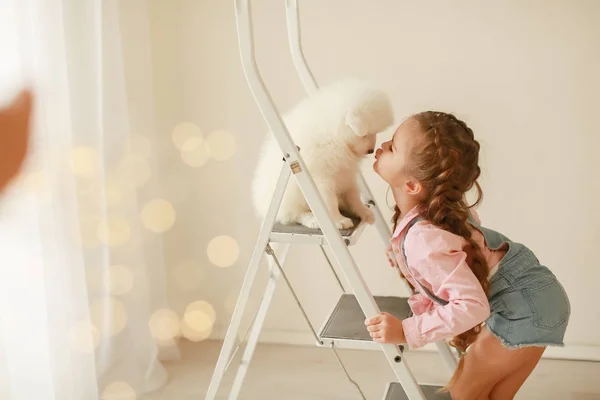Chica Con Lindo Cachorro Escalera Posando Estudio — Foto de Stock