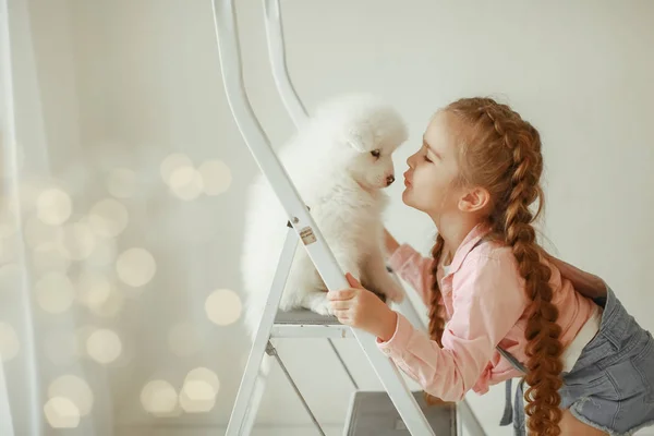 Menina Com Filhote Cachorro Bonito Escada Posando Estúdio — Fotografia de Stock