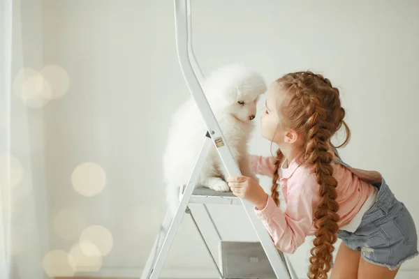 Dívka Roztomilé Štěně Žebříku Vystupují Studiu — Stock fotografie