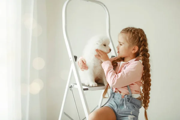 Mädchen Mit Süßem Welpen Auf Leiter Posiert Studio — Stockfoto