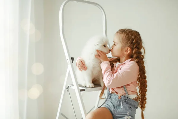 Girl Cute Puppy Ladder Posing Studio — Stock Photo, Image