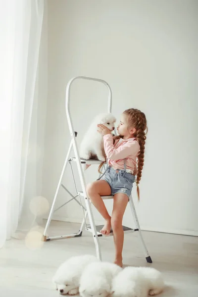 Girl Posing Cute Puppies Sitting Ladder — Stock Photo, Image