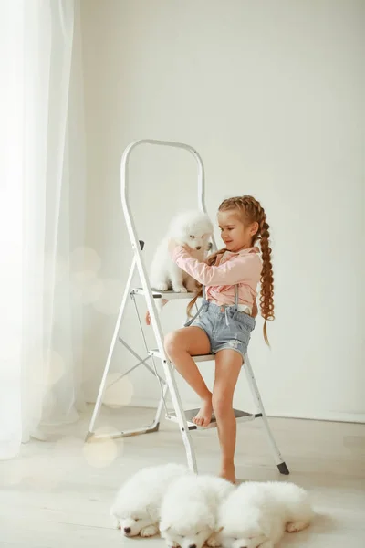 Girl Posing Cute Puppies Sitting Ladder — Stock Photo, Image