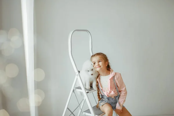 Dívka Roztomilé Štěně Žebříku Vystupují Studiu — Stock fotografie