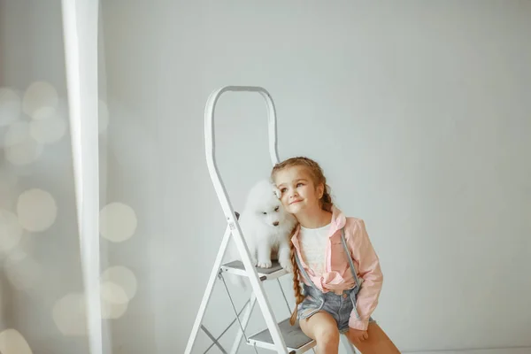 Chica Con Lindo Cachorro Escalera Posando Estudio — Foto de Stock