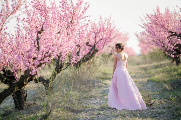 Hermosa Novia Posando Jardín Contra Los Árboles Flor — Foto de Stock