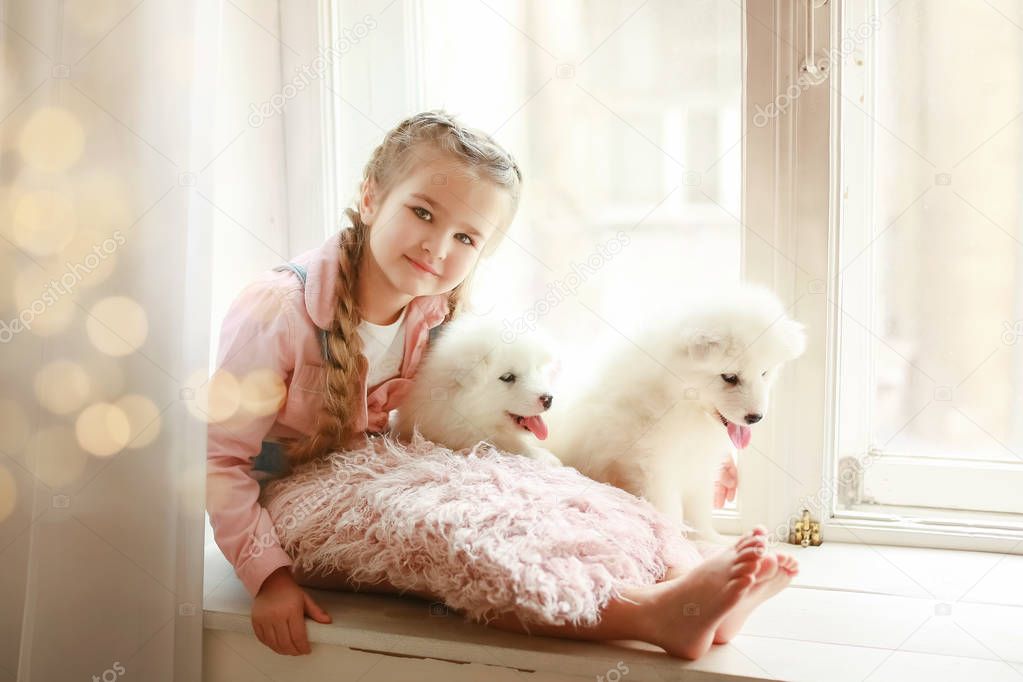 little girl posing with puppies on windowsill in studio 