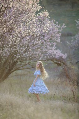 genç güzel sarışın kız mavi elbiseyle çiçek açması bahçede poz 