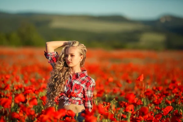 Schöne Blonde Mädchen Posiert Auf Mohnfeld — Stockfoto