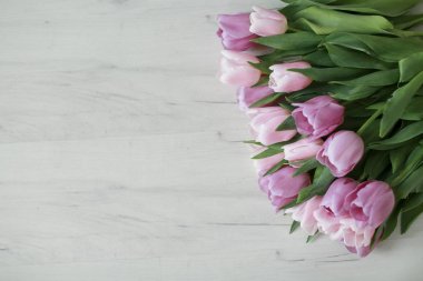 zemin üstü üzerinde mor laleler görüntülemek 