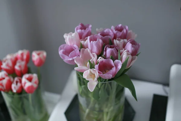 Tulpen Der Vase Aus Nächster Nähe — Stockfoto
