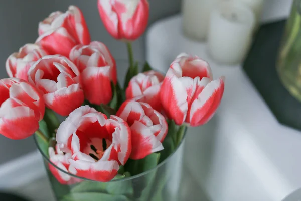 Tulpen Der Vase Aus Nächster Nähe — Stockfoto