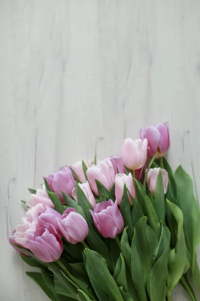 Фиолетовые Тюльпаны Полу Вид Сверху — стоковое фото
