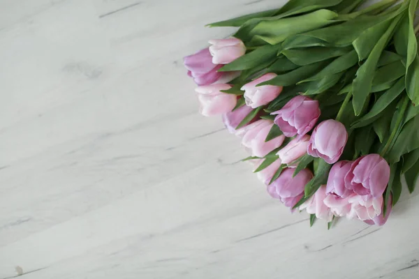 Lila Tulpen Auf Dem Fußboden Draufsicht — kostenloses Stockfoto