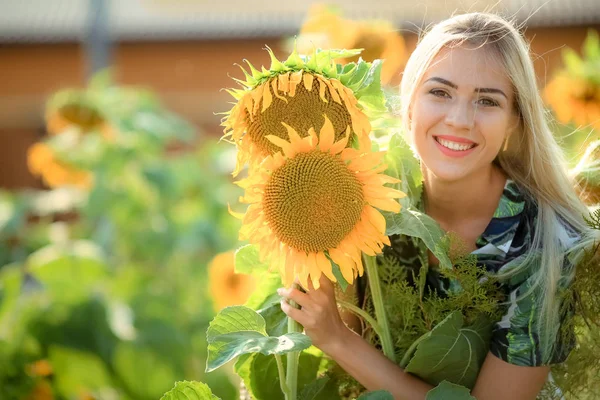 Schöne Blonde Frau Posiert Sonnenblumenfeld — Stockfoto