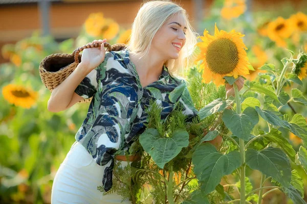 Schöne Blonde Frau Posiert Sonnenblumenfeld — Stockfoto