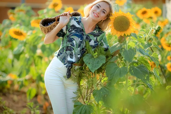 Krásná Blondýnka Pózuje Slunečnicovém Poli — Stock fotografie
