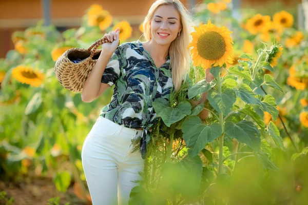 Красива Блондинка Позує Соняшниковому Полі — стокове фото