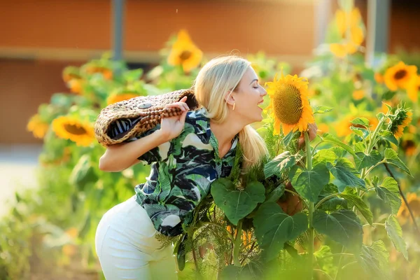 Schöne Blonde Frau Posiert Sonnenblumenfeld — Stockfoto