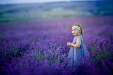 Lavanta sahada poz sevimli küçük kız 