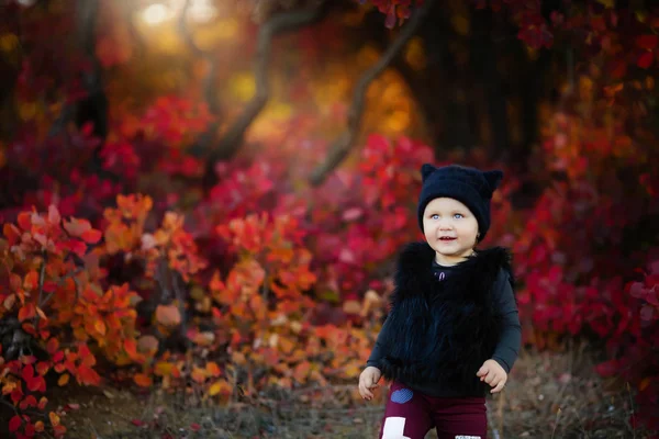 Drăguț Fetiță Care Pozează Pădurea Toamnă — Fotografie, imagine de stoc