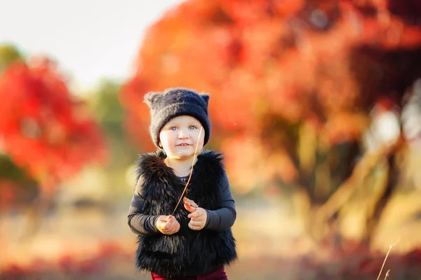 Söt Liten Flicka Poserar Höst Skog — Stockfoto