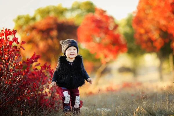 Sevimli Küçük Kız Sonbahar Ormanda Poz — Stok fotoğraf