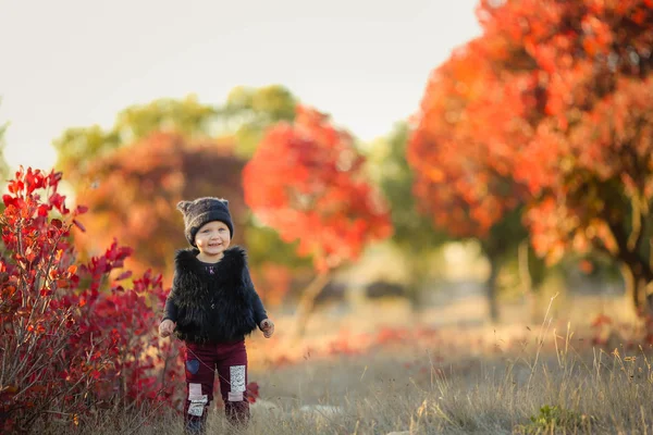 Söt Liten Flicka Poserar Höst Skog — Stockfoto