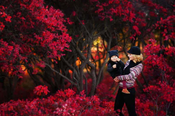 母と娘の秋の庭でポーズ — ストック写真
