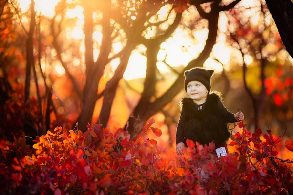 Linda Niña Posando Bosque Otoño — Foto de Stock