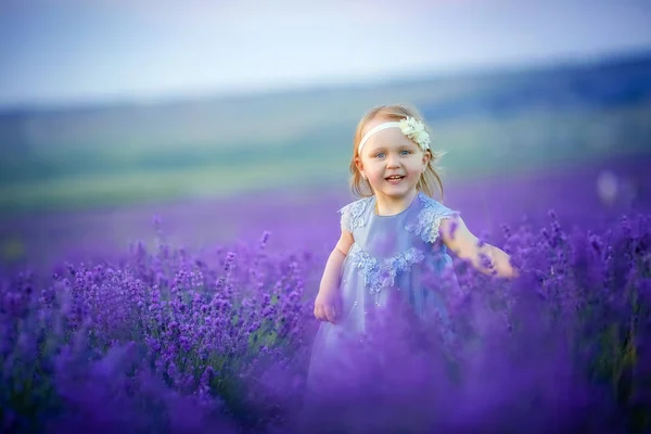 Roztomilá Malá Dívka Pózuje Levandulové Pole — Stock fotografie