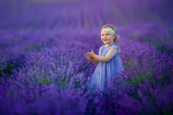 Bonito Menina Posando Lavanda Campo Fotografia De Stock