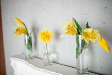 Bahar sahne fotoğraf stüdyosu