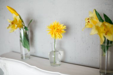 Bahar sahne fotoğraf stüdyosu