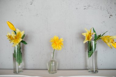 Bahar sahne fotoğraf stüdyosu