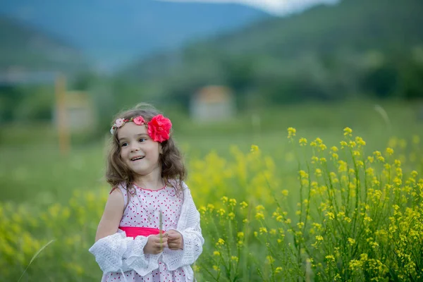 Cute Little Girl Posing Outdoors Field — Stock Photo, Image