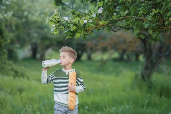 Anak Kecil Minum Susu Dan Makan Roti Kebun — Stok Foto