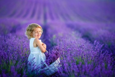 Lavanta alan holding sepet üzerinde çiçek dolu poz güzel küçük kız