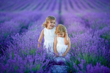 iki sevimli küçük kız lavanta sahada poz