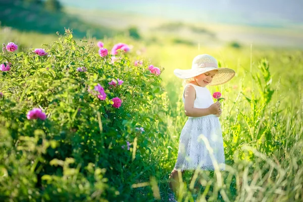 Adorable Little Girl Posing Green Field — Stock Photo, Image