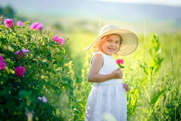 Прелестная Маленькая Девочка Позирует Зеленом Поле — стоковое фото