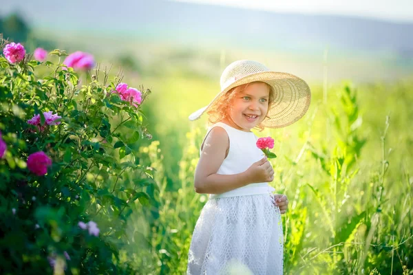 Aranyos Kis Lány Pózol Zöld Mező — Stock Fotó