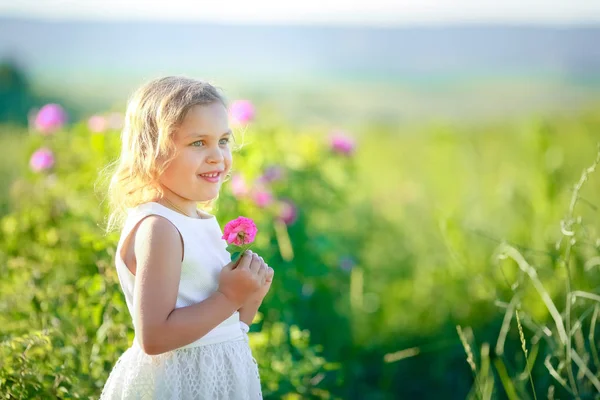 Entzückendes Kleines Mädchen Posiert Auf Der Grünen Wiese — Stockfoto