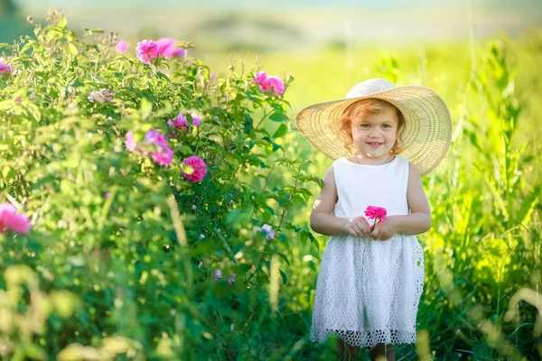 Nettes Kleines Mädchen Posiert Auf Der Grünen Wiese — Stockfoto