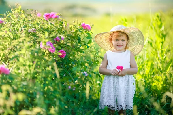 Carino Bambina Posa Campo Verde — Foto Stock