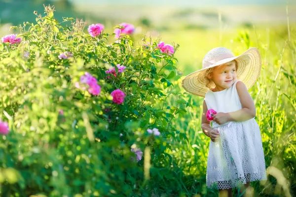 Χαριτωμένο Μικρό Κορίτσι Που Ποζάρει Στο Πράσινο Πεδίο — Φωτογραφία Αρχείου